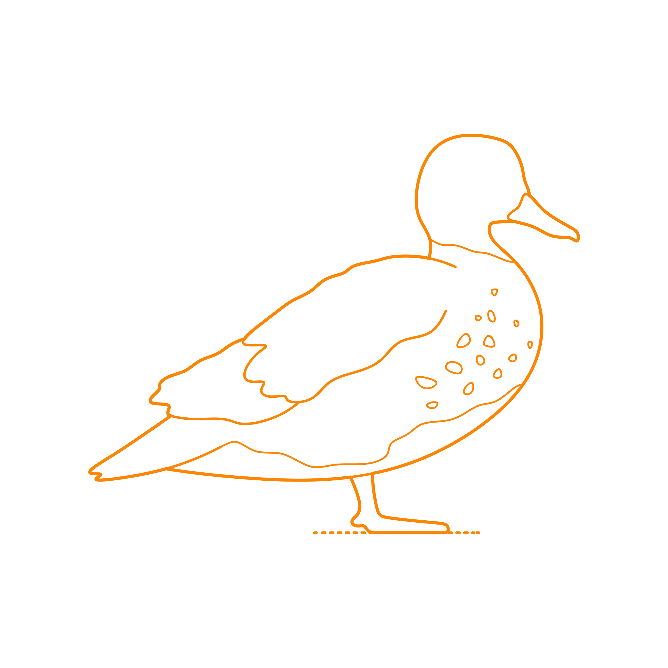 Animals Waterfowl Gadwall Line Art Svg Vector Free Vectors